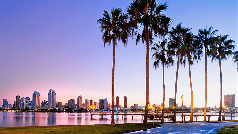 Silhouetted palm trees in the foreground, city skyline and calm water reflecting pink and purple hues at sunset, creating a serene mood.