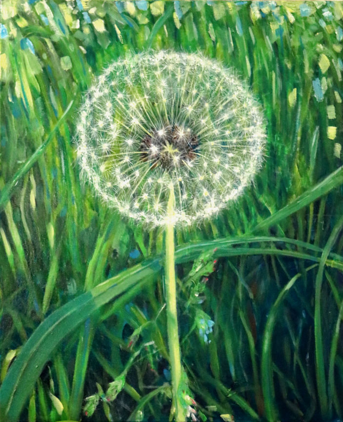 Dandelion, beautiful thing 