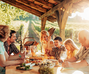 Multigenerational family having lunch in a gazebo on the vineyard.jpg