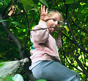 Climbing trees in our Forest School