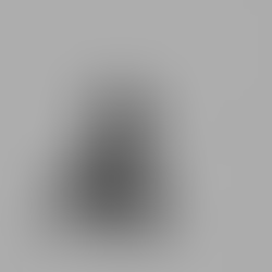 A Tell All With Olivia Mae