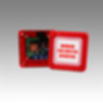 FDCP Fire Door Control Panel