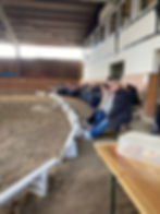 Trainerfortbildung mit Rolf Petruschke "Pro Pferd - Richter richten was Reiten reiten und Trainer trainieren!