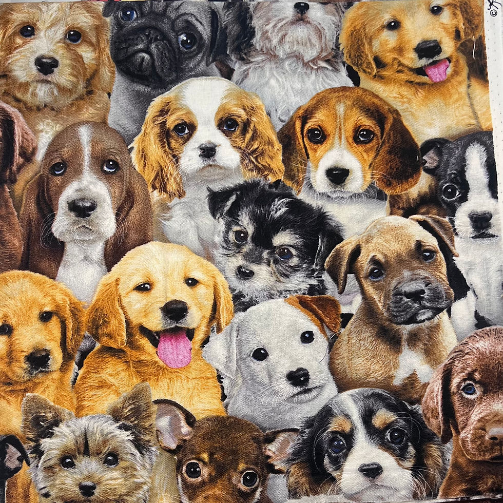 Thumbnail: Dog Picture Scrub Cap