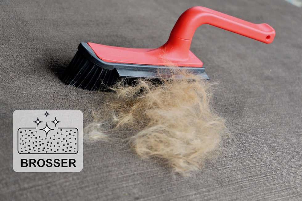 Balayette SORCIER V300 picot rouge. Balai SORCIER retire poils et cheveux
