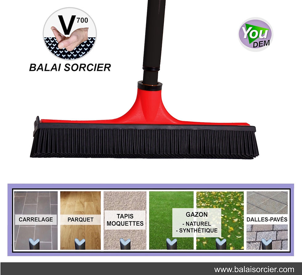 Miniature : Balai picot V multifonction SORCIER V7