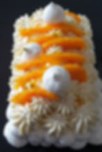 Pavlova mangue-passion- 8 P