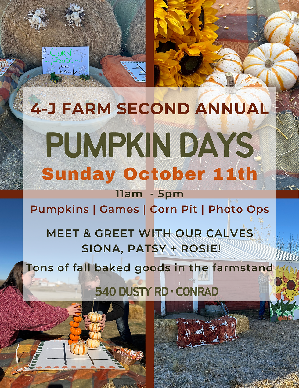 Orange Green Simple Photo Grid Pumpkin Patch Farm Event Flyer.PNG