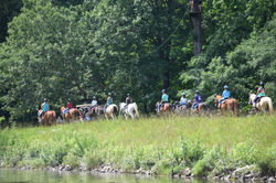 50055885223_09e8346642_o