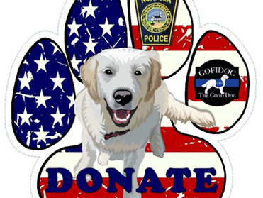 Get Norfolk a Community Resource Dog!