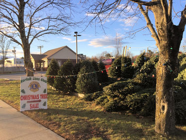 Annual Christmas Tree Sale