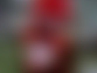 Holiday on the Hill Winner | Gnome for the Holidays