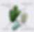 Thumbnail: Cactus Home Décor Set of Three