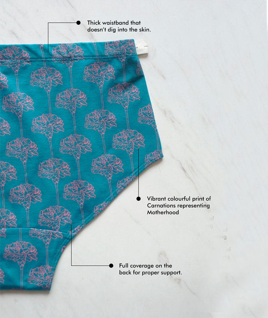 Thumbnail: Carnation Postpartum Brief