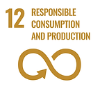 SDG12