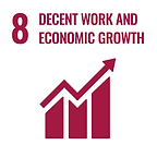 SDG8