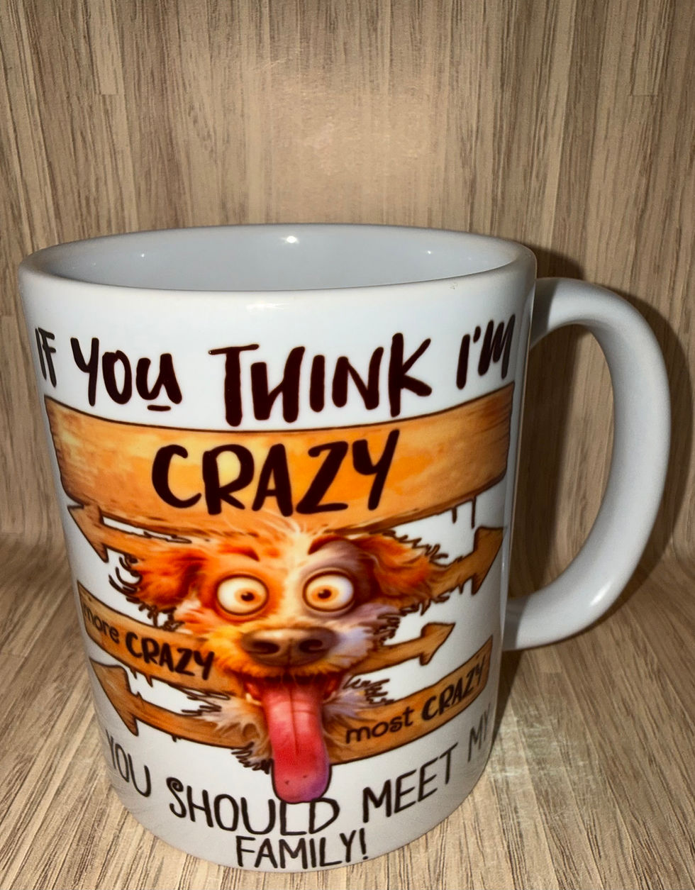 If you think i'm crazy You should meet my family novelty mug