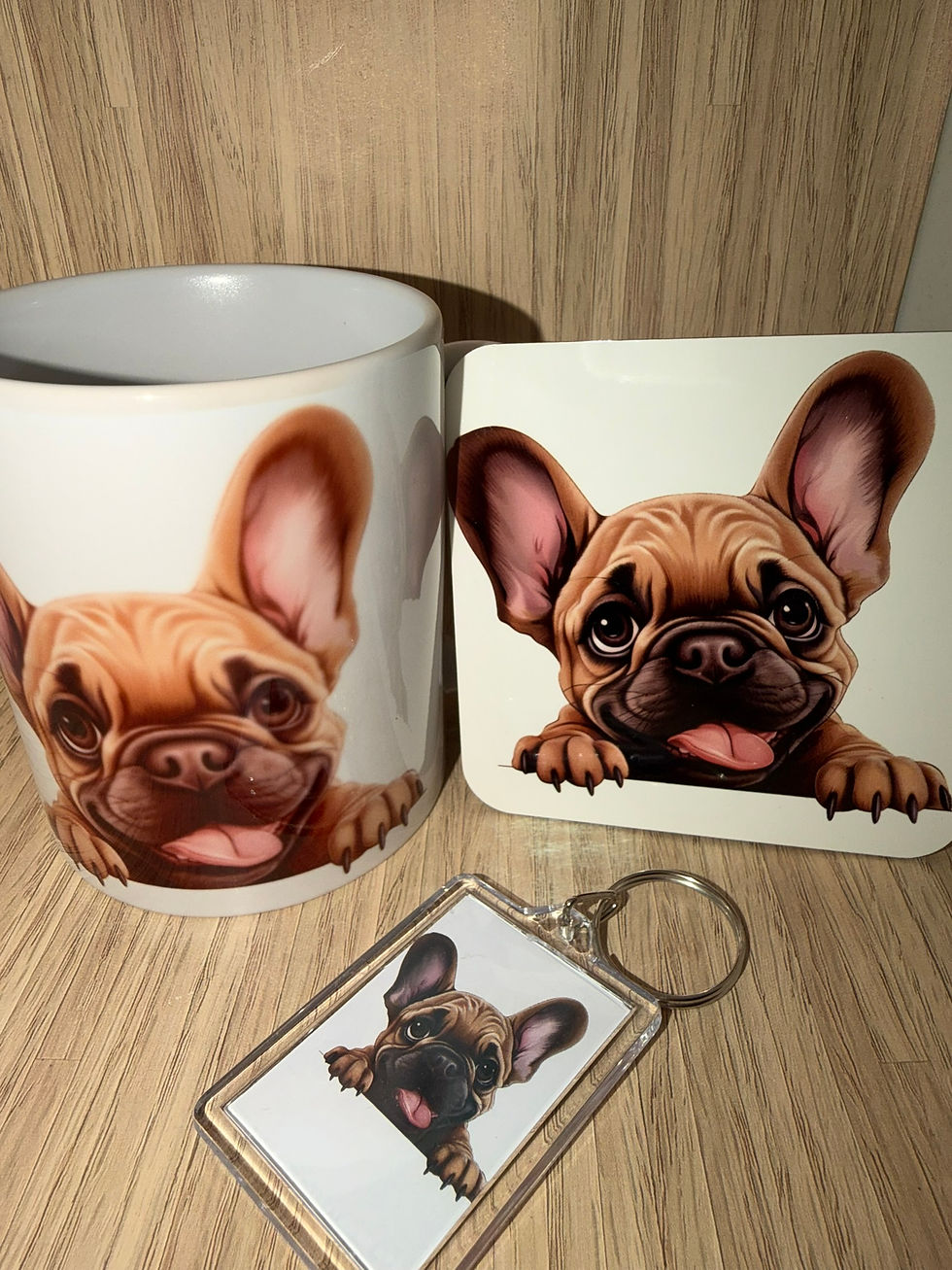 Thumbnail: French Bulldog mug keyring and coaster set