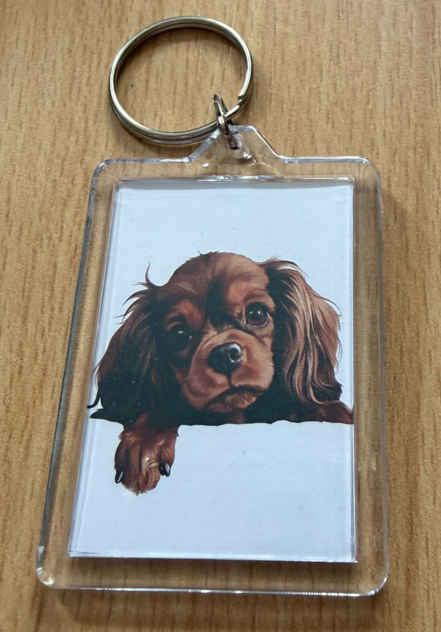 Thumbnail: English Toy Spaniel Keyring
