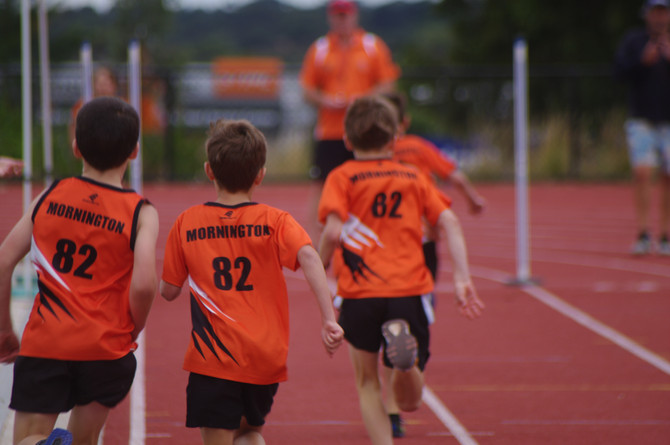 Week 16 Program and Duties