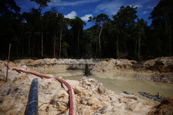 2023-12-28T134641Z_1764965552_RC2G21A5RB5F_RTRMADP_3_BRAZIL-ENVIRONMENT-GOLD