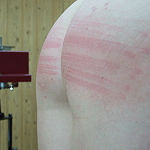 SpankingServer.com - We produce ADULTS ONLY BDSM real and AI videos.