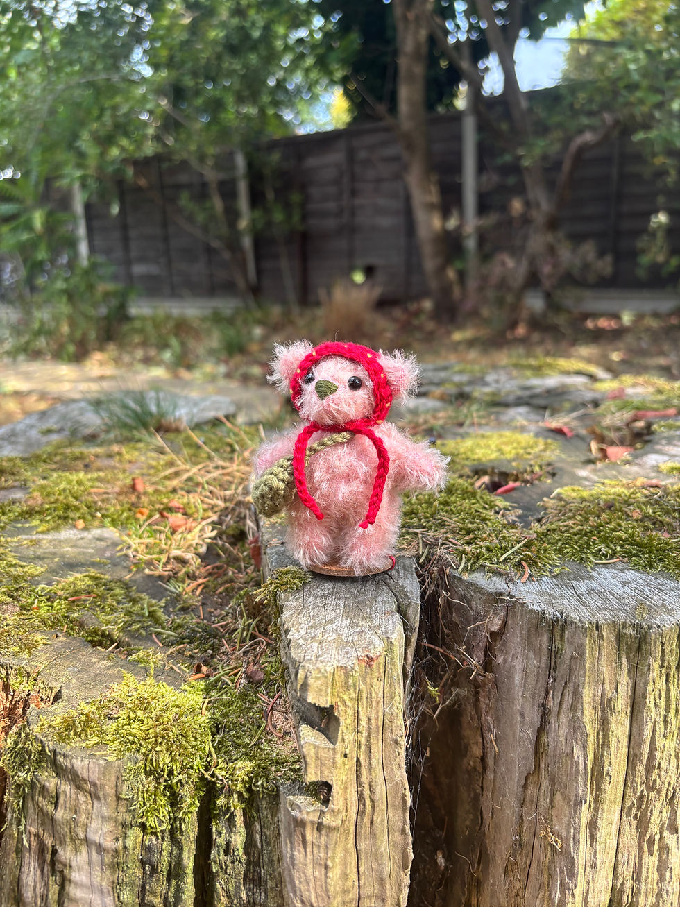 Thumbnail: Aubrey the Strawberry Bear PRE-ORDER