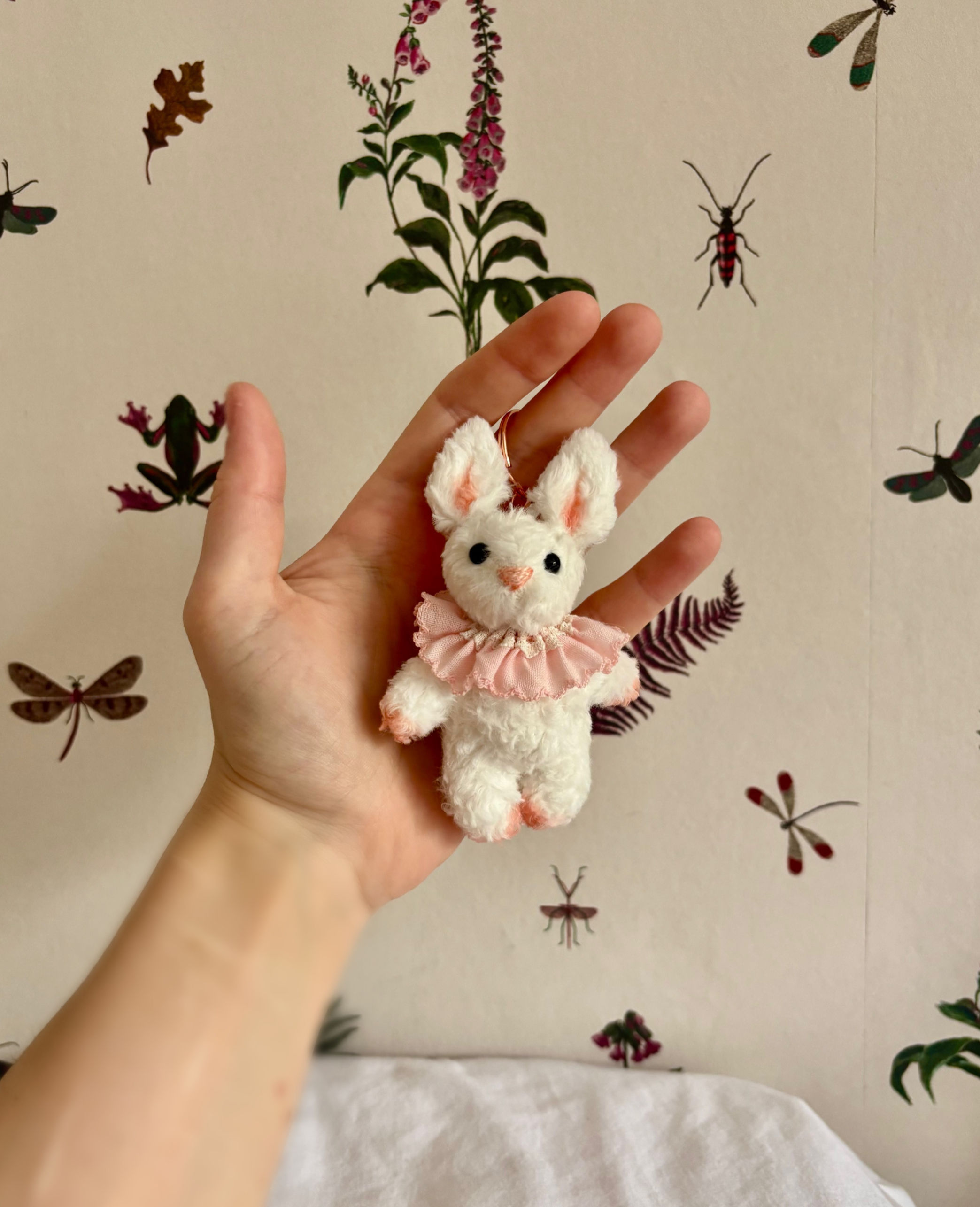 Primrose the Bunny