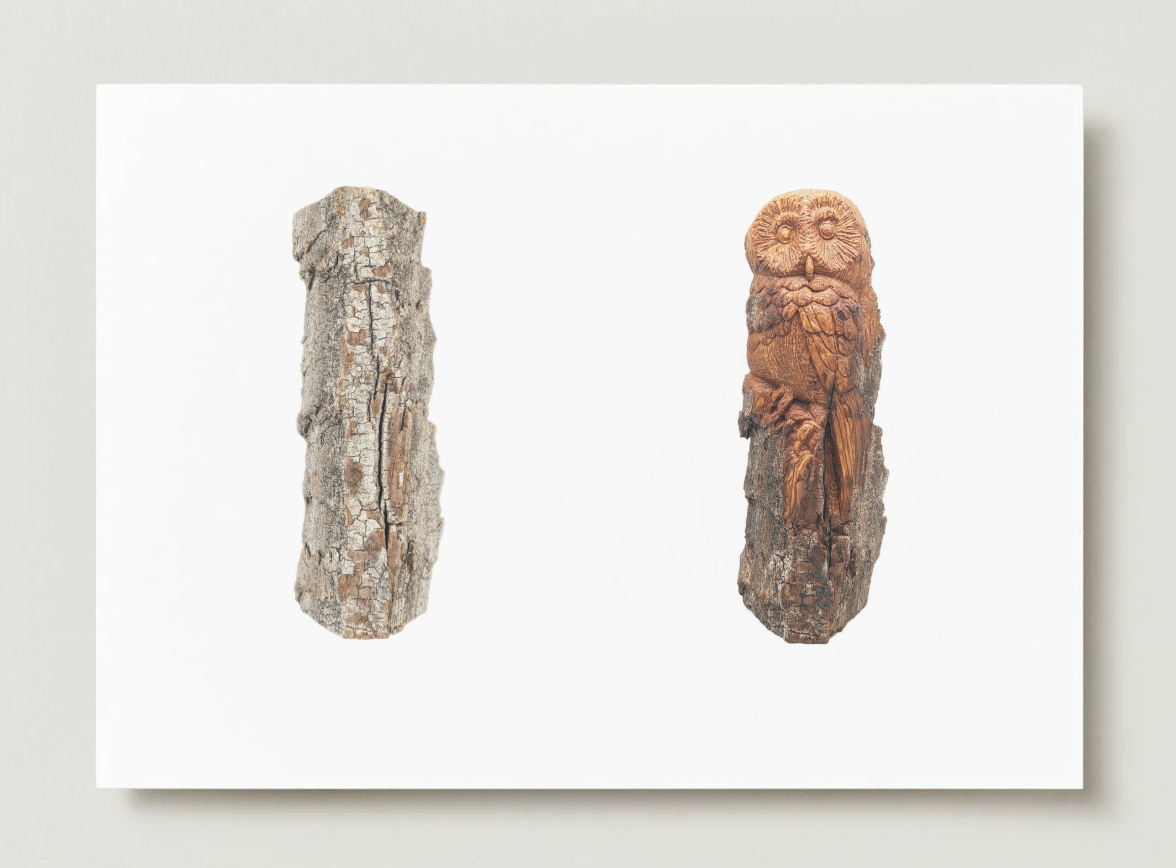 "Spotted Owl" - 7x5 Print