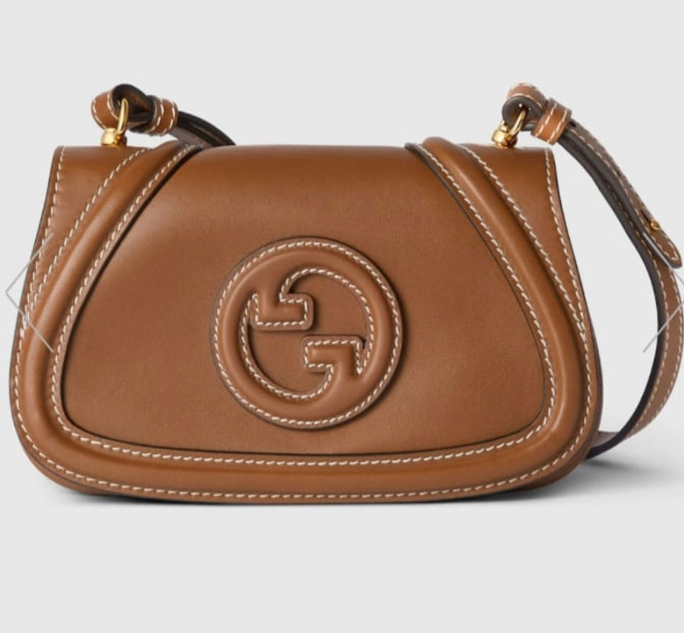 Gucci Bag 1
