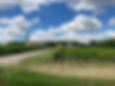 Bordeaux - the timeless classic