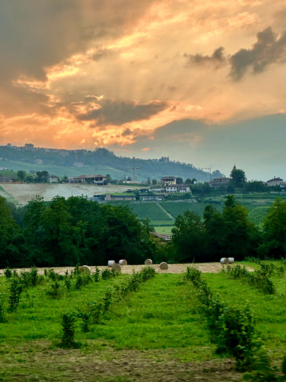 Barolo Hills