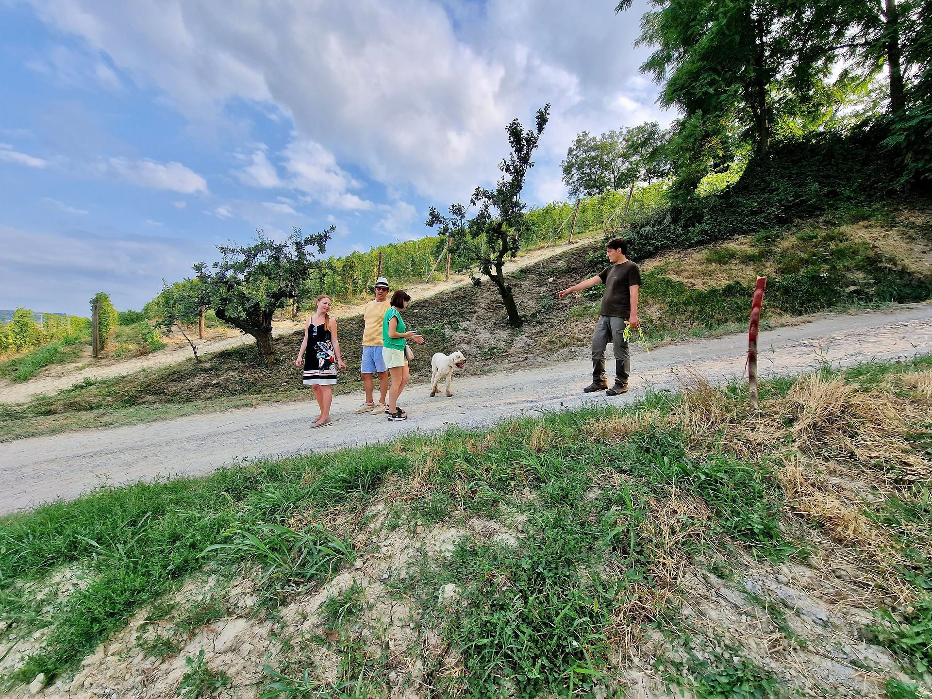 Truffle Hunt in Barolo