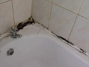 Is Black Bathroom Mould Dangerous?