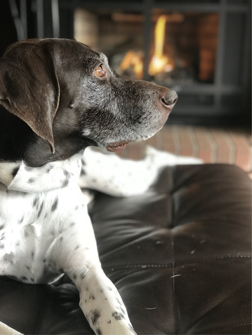 regal.png