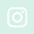 Mint Instagram IPS 14 ICON