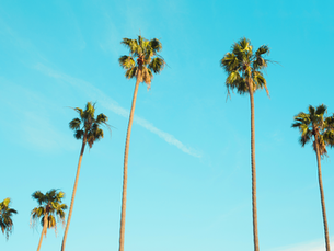 How to Choose Your 4 UC Personal Insight Questions (and Common Mistakes to Avoid)
