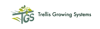 logo.gif