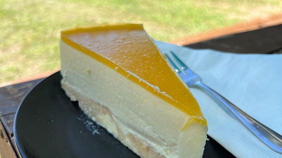 Mango cheese cake