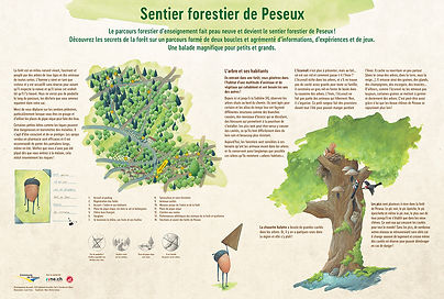 sentier forestier illusté Peseux