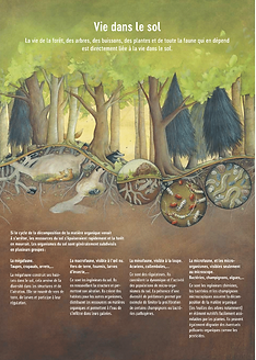 sentier forestier illusté Peseux
