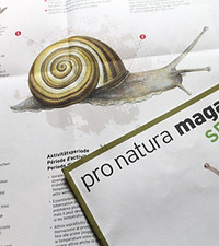 imprime_magazine special animal.jpg