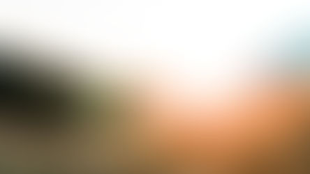 Georgia Court Awards Spouse 100% of Life Insurance Proceeds