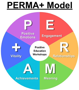 PERMA+ Model_edited.jpg