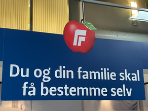 Mitt første Landsmøte / Vårkonferanse - Dag 3