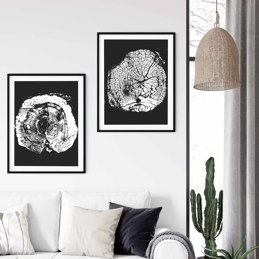 Miniatura: Anillos de Arbol Blanco y Negro