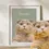 Miniatura: Mascotas - Color Pleno y Foto Real