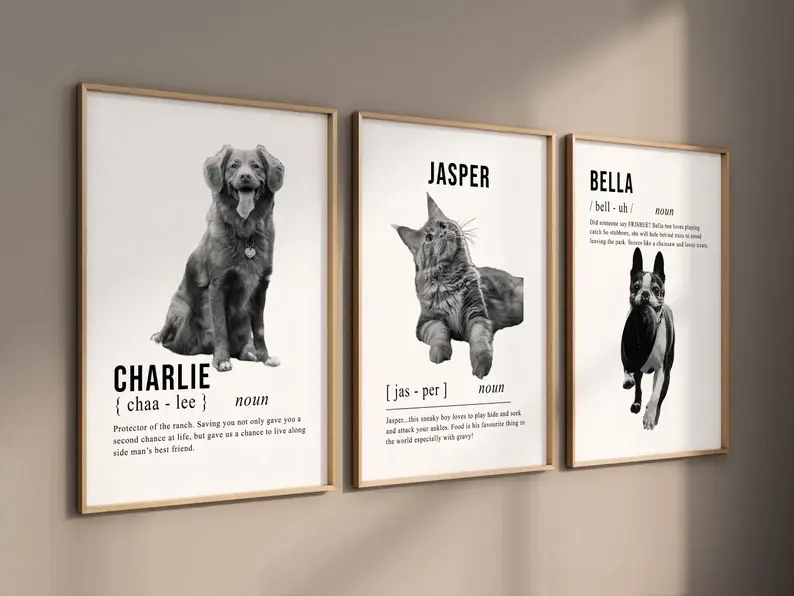 Miniatura: Mascota B&N con nombre y definición