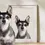 Miniatura: Mascotas - Color Pleno y Foto Real