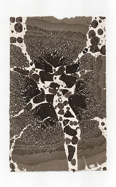 lisa vatan n°8.jpeg